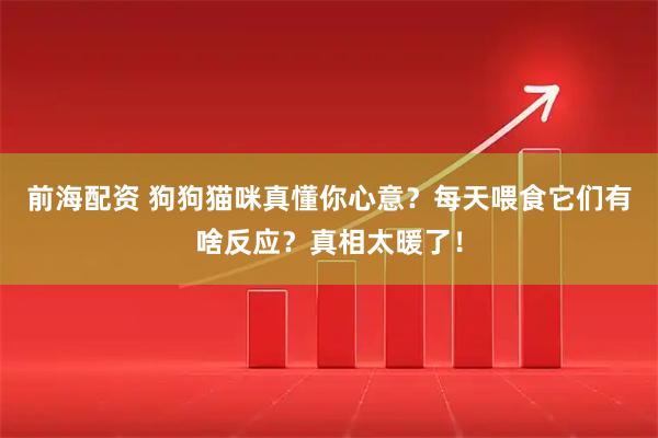 前海配资 狗狗猫咪真懂你心意？每天喂食它们有啥反应？真相太暖了！
