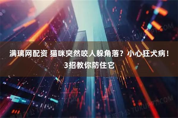 满璃网配资 猫咪突然咬人躲角落？小心狂犬病！3招教你防住它