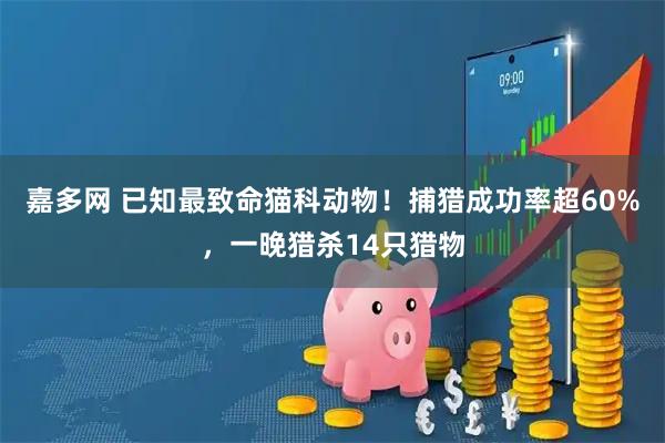 嘉多网 已知最致命猫科动物！捕猎成功率超60%，一晚猎杀14只猎物