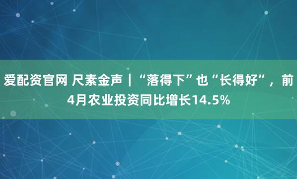 爱配资官网 尺素金声｜“落得下”也“长得好”，前4月农业投资同比增长14.5%