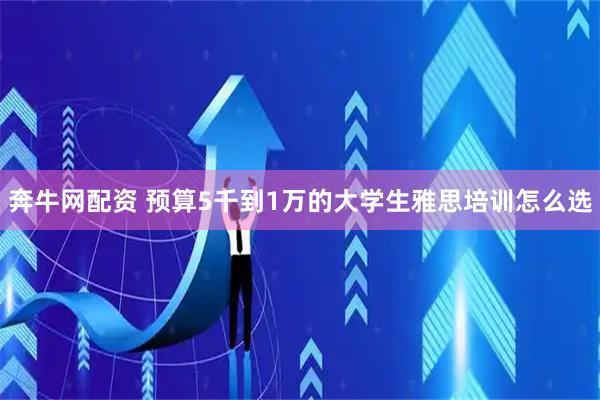 奔牛网配资 预算5千到1万的大学生雅思培训怎么选